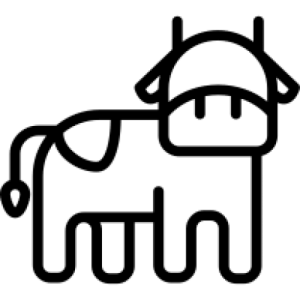 besserfleisch.de Bio Fleisch aus Weidehaltung