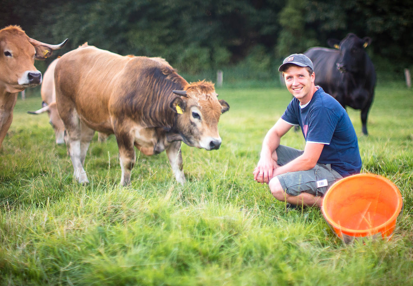 besserfleisch.de Bio Fleisch aus Weidehaltung