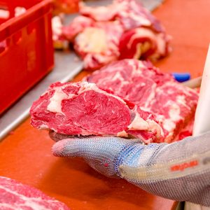 besserfleisch.de Bio Fleisch aus Weidehaltung