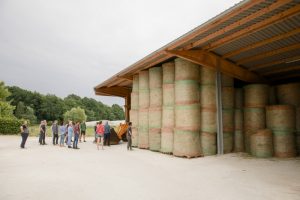 besserfleisch.de Bio Fleisch aus Weidehaltung