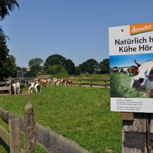 besserfleisch.de Bio Fleisch aus Weidehaltung