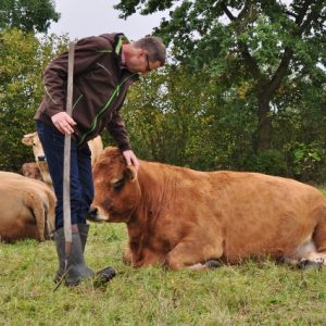 besserfleisch.de Bio Fleisch aus Weidehaltung