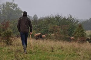 besserfleisch.de Bio Fleisch aus Weidehaltung