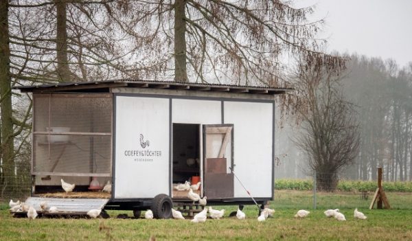 besserfleisch.de Bio Fleisch aus Weidehaltung